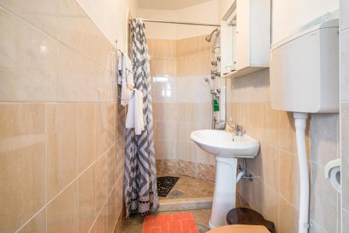 莫托文的住宿－Apartments with a parking space Motovun, Central Istria - Sredisnja Istra - 14160，一间带水槽和淋浴的小浴室
