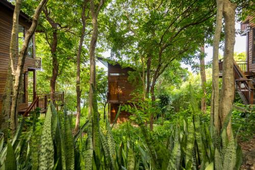 a house in the woods with trees and plants at Amaresa Resort & Sky Bar - experience nature in Haad Rin