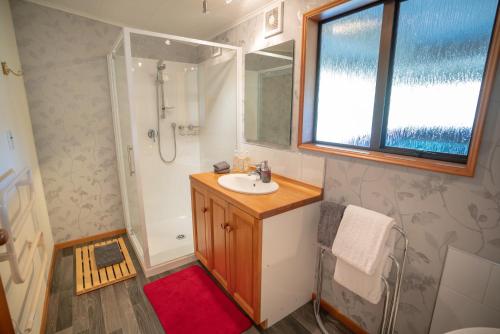 W łazience znajduje się umywalka i prysznic. w obiekcie Alpine Rock B&B w mieście Te Anau