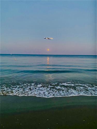 an airplane flying over the ocean with a beach at The Penthouse 401 in Larnaka