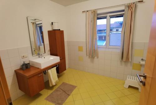 ein Bad mit einem Waschbecken und einem Fenster in der Unterkunft Niedergerner Alpaka Ranch in Haiming