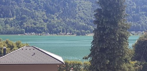 a view of a lake and a house and a tree at Ferienwohnung Karasek Deluxe in Sattendorf