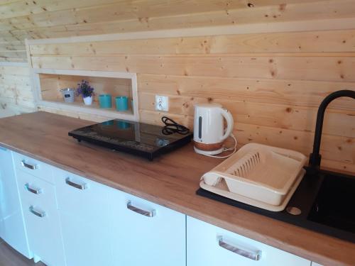 a kitchen with a counter top with a sink at Motylowe Wzgórze Apartamenty Zawóz in Zawóz