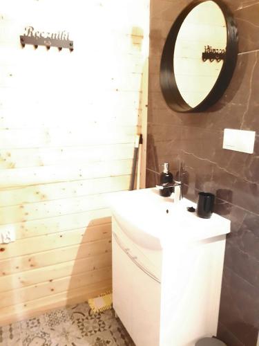 a bathroom with a white sink and a mirror at Motylowe Wzgórze Apartamenty Zawóz in Zawóz