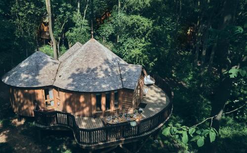 an aerial view of a tree house in the forest at Wildhive Callow Hall in Ashbourne