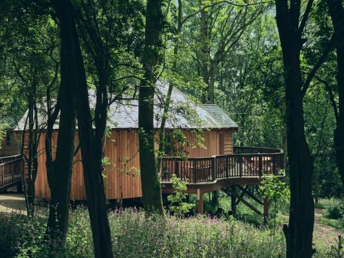 a cabin in the woods with a deck and trees at Wildhive Callow Hall in Ashbourne