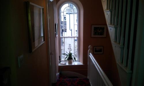 a hallway with a window and a plant on a table at COLLEGE HOUSE in Windermere