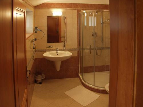 a bathroom with a sink and a shower and a toilet at Doubické chalupy in Doubice