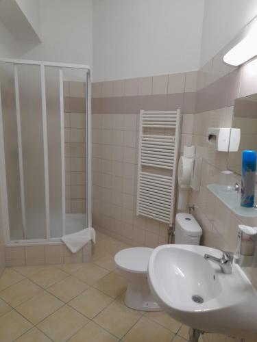 a bathroom with a sink and a toilet and a shower at A Bárány in Kaposvár