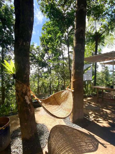 a hammock hanging between two trees in a yard at A-frame Villa at Tierra Verde, “Little Baguio” Real, Quezon in Quelalag