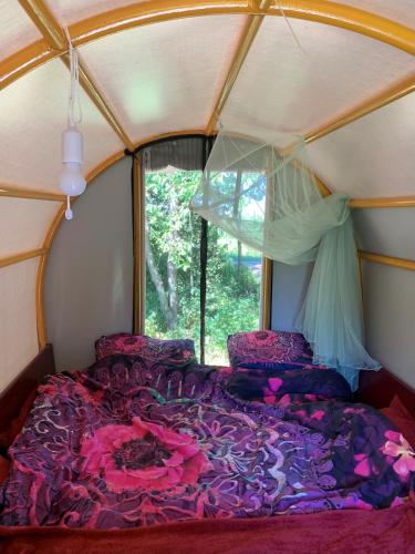 Huifkar in landelijke omgeving في Ureterp: غرفة بسرير في خيمة