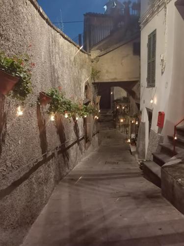 Φωτογραφία από το άλμπουμ του Giglio Vallerano. Alloggio turistico σε Vallerano