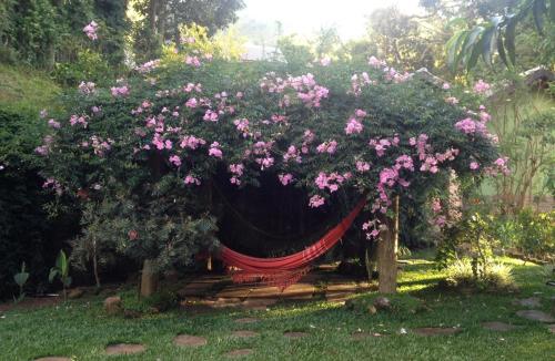 a bunch of pink flowers on a hammock in a garden at La Réserve Suites in Monte Verde