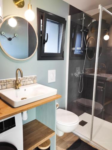 une salle de bain avec un lavabo, des toilettes et une douche dans l'établissement Loft le Magnolia, à Montfort-sur-Meu