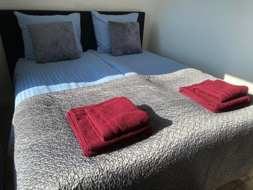 Una cama con dos almohadas rojas encima. en Atlantis Appartement, en Egmond aan Zee
