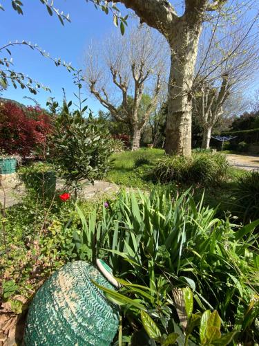 um jardim com um grande melão na relva em Les Platanes - Rambrandt Rez de Jardin em Lamalou-les-Bains