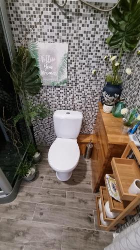 a bathroom with a toilet in a room with plants at PLACE 4 U Studio Center in Zadar