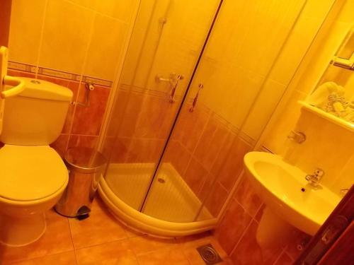 a bathroom with a toilet and a shower and a sink at Apartments Vukomanović in Zlatibor