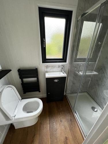 a small bathroom with a toilet and a shower at Hettie Luxury shepherds hut in Semley