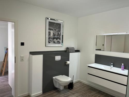 een badkamer met een toilet en een wastafel bij Ellas Ferienhaus in Elbingerode