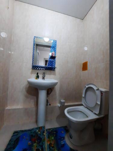 La salle de bains est pourvue d'un lavabo, de toilettes et d'un miroir. dans l'établissement Diplomat 3, à Bishkek