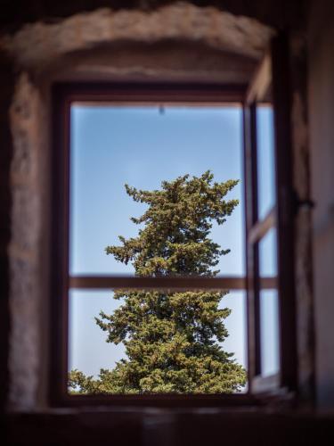 Fotografie z fotogalerie ubytování Dvor Pitve Villas v destinaci Jelsa