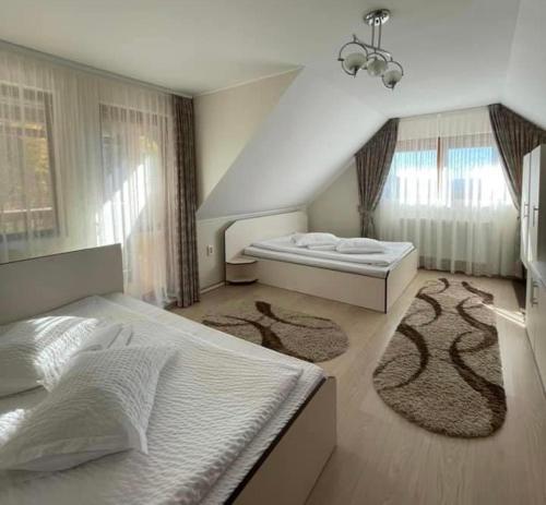 1 dormitorio con 2 camas y 2 alfombras en Pensiunea Aby, en Sovata