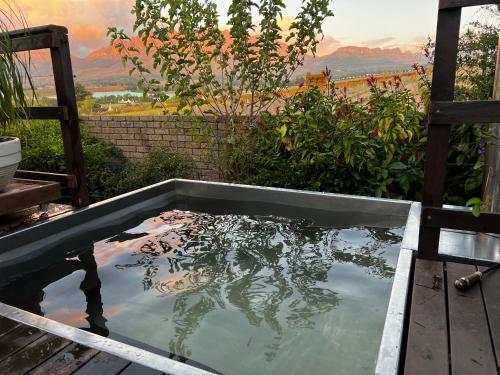 a pool of water with a reflection of a tree at Wellington Country House in Wellington
