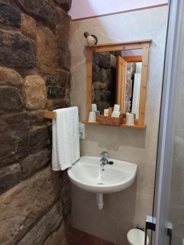 uma casa de banho com um lavatório e um espelho em Hotel El Jisu em Camaleño