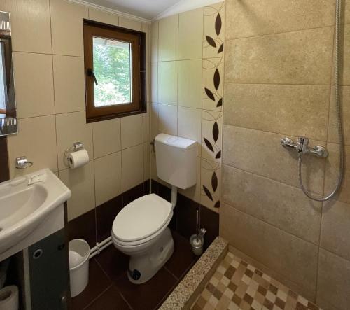ソバタにあるPensiunea Abyのバスルーム(トイレ、洗面台、シャワー付)