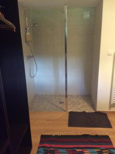 une douche avec une porte vitrée dans une salle de bain dans l'établissement L'instant present, à Caen