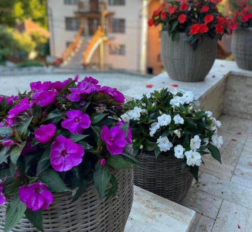three baskets filled with purple and white flowers at Pensiunea Aby in Sovata