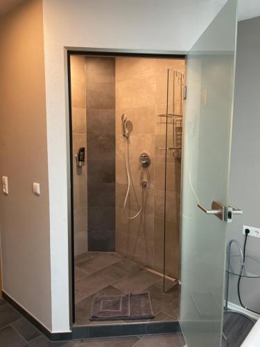 a shower with a glass door in a bathroom at Hotel Il David in Königsfeld im Schwarzwald