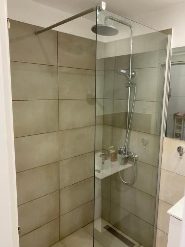 a shower with a glass door in a bathroom at Studio Ena in Neoi Epivates