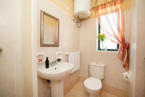 a bathroom with a white toilet and a sink at Ta Indri Holiday Home in Żebbuġ