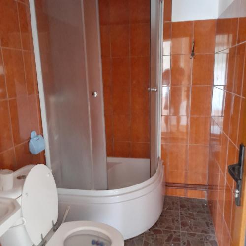 a bathroom with a shower and a toilet in it at Alexandra&Alex in Horezu