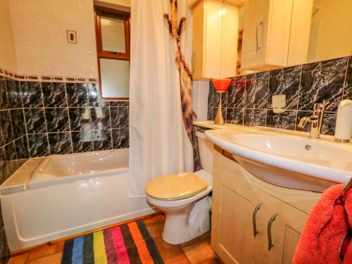 a bathroom with a toilet and a tub and a sink at Marina House in Enniskillen