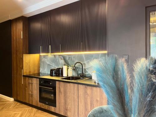 una cocina con fregadero y encimera en Family & Business Sauna Tężnia Apartments No 10 VIP -Leśny nad Zalewem Cedzyna, Unikat SPA- 1 Bedroom with Private Sauna, Jacuzzi, Spectacular View Terrace, Parking, Catering Options, en Kielce