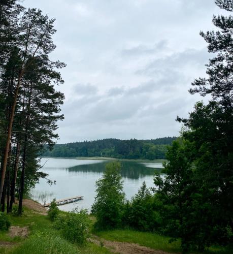a view of a lake through the trees at Zakole Brdy in Gostycyn