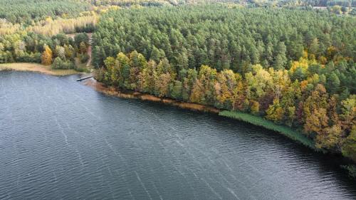 an aerial view of a river with a forest at Zakole Brdy in Gostycyn