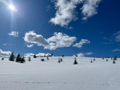 a snow covered slope with trees and a blue sky at Villa JoenPolku Ruka in Ruka