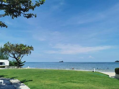 a view of a beach with a tree and the ocean at Chelona Beachfront Huahin in Khao Tao