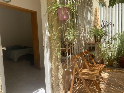 a room with two chairs and potted plants at דירת סטודיו בכרמל הירוק in Haifa
