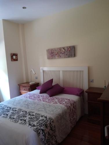 a bedroom with a large bed with purple pillows at El rincón de Voto in San Miguel de Aras