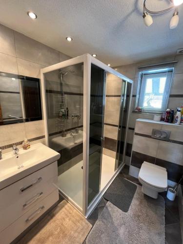 a bathroom with a shower and a sink and a toilet at Halka Apartment 3 in Rabčice