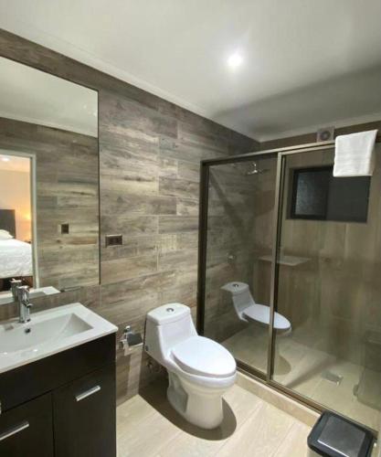 a bathroom with a toilet and a shower and a sink at La casona Talpen in Constitución