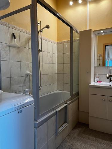 a bathroom with a bath tub and a sink at Palma Apartment in Schottwien