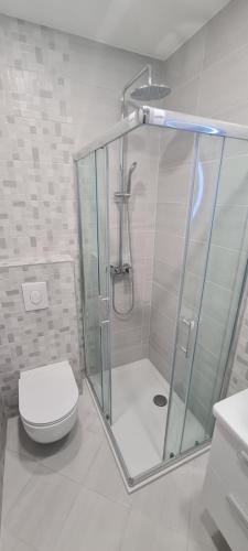 a bathroom with a shower and a toilet at Apartments Dado in Baška Voda
