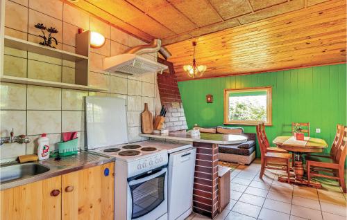 ムシチツェにある1 Bedroom Gorgeous Home In Msciceの緑の壁のキッチン(コンロ、シンク付)