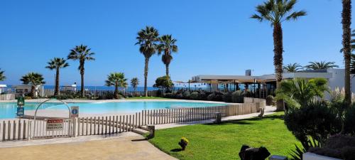 a resort with a swimming pool with palm trees at VIVE LA EXPERIENCIA, PLAYA, SPA, CASINO DE JUEGOS in Coquimbo